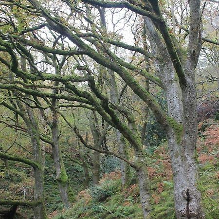 Relaxing Pet Friendly 2-Bed Cottage In Rhandirmwyn Llandovery Esterno foto