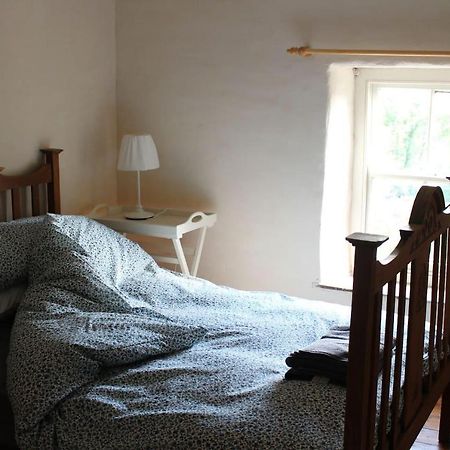 Relaxing Pet Friendly 2-Bed Cottage In Rhandirmwyn Llandovery Esterno foto