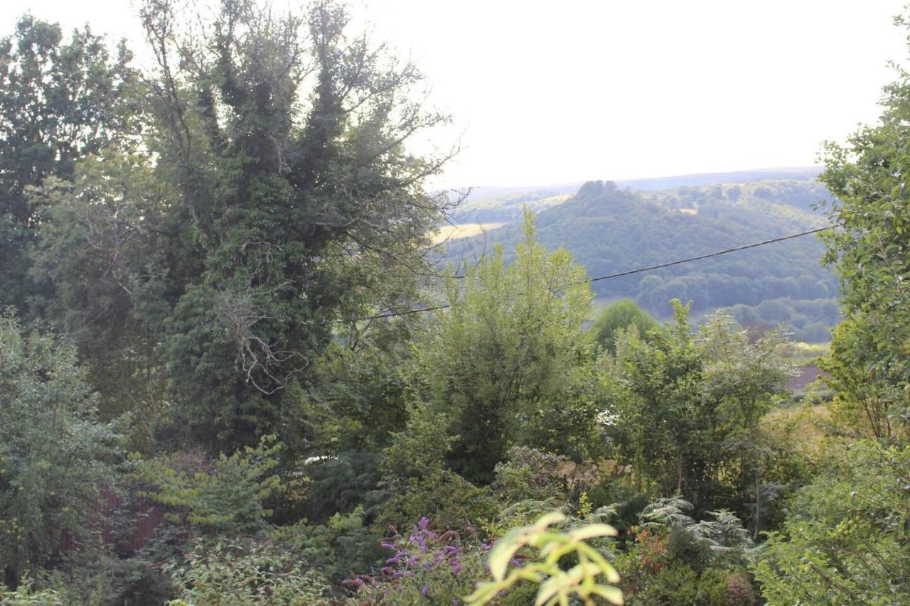 Relaxing Pet Friendly 2-Bed Cottage In Rhandirmwyn Llandovery Esterno foto