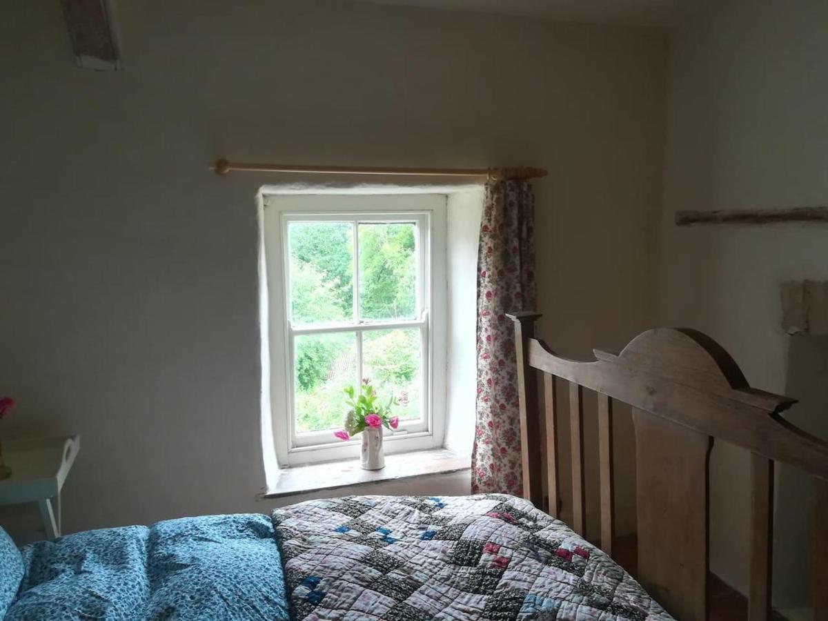 Relaxing Pet Friendly 2-Bed Cottage In Rhandirmwyn Llandovery Esterno foto