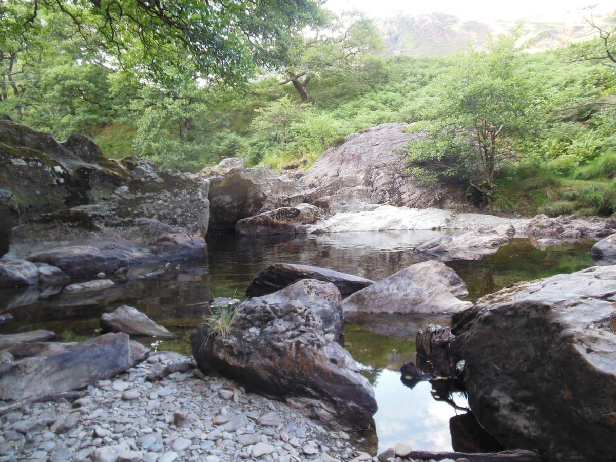Relaxing Pet Friendly 2-Bed Cottage In Rhandirmwyn Llandovery Esterno foto