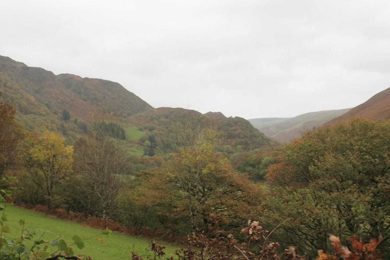 Relaxing Pet Friendly 2-Bed Cottage In Rhandirmwyn Llandovery Esterno foto